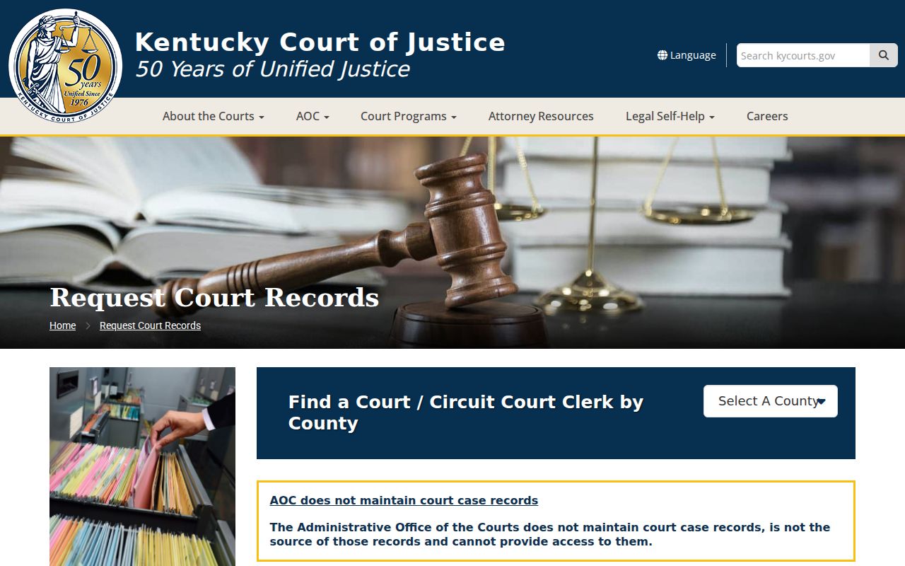 Livingston County criminal court case record request instructions